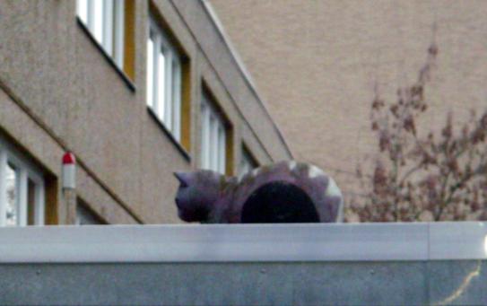 Image:Katze Beer.jpg